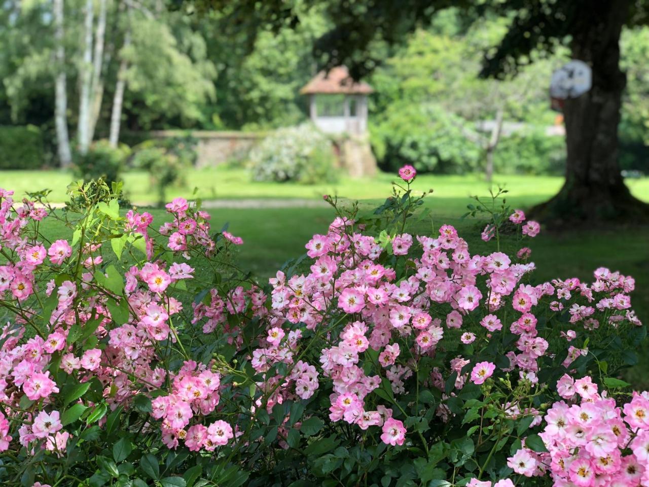 La Villa Rochette Forges-les-Bains Extérieur photo
